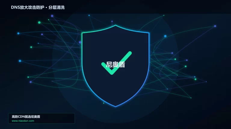 DNS放大攻击防护分层流量清洗架构图