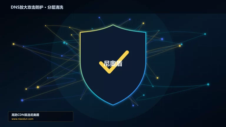 DNS放大攻击防护分层流量清洗架构图