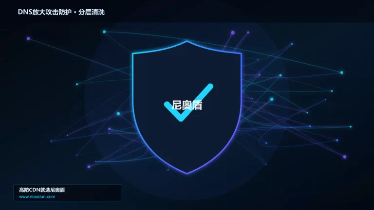 DNS放大攻击防护分层流量清洗架构图