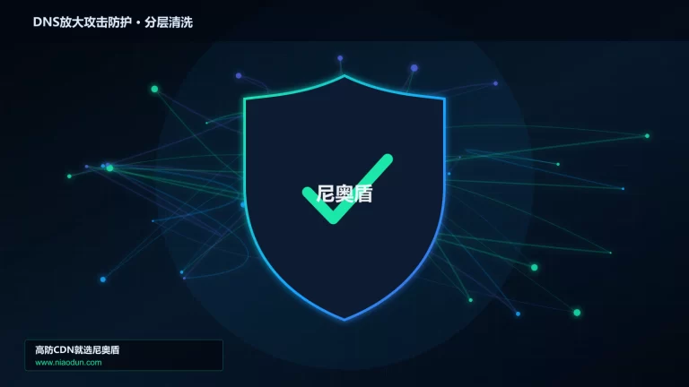 DNS放大攻击防护分层流量清洗架构图