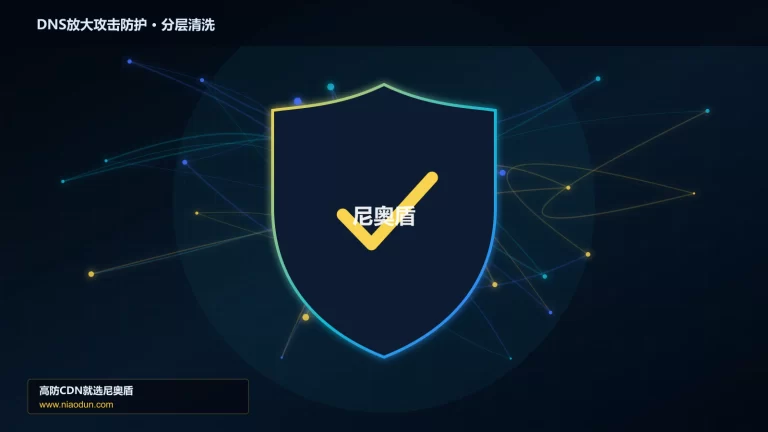 DNS放大攻击防护分层流量清洗架构图