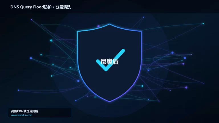 DNS Query Flood防护分层流量清洗架构图