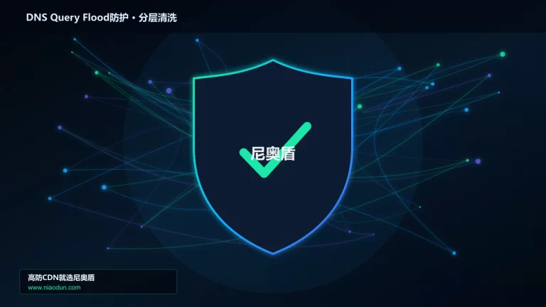 DNS Query Flood防护分层流量清洗架构图