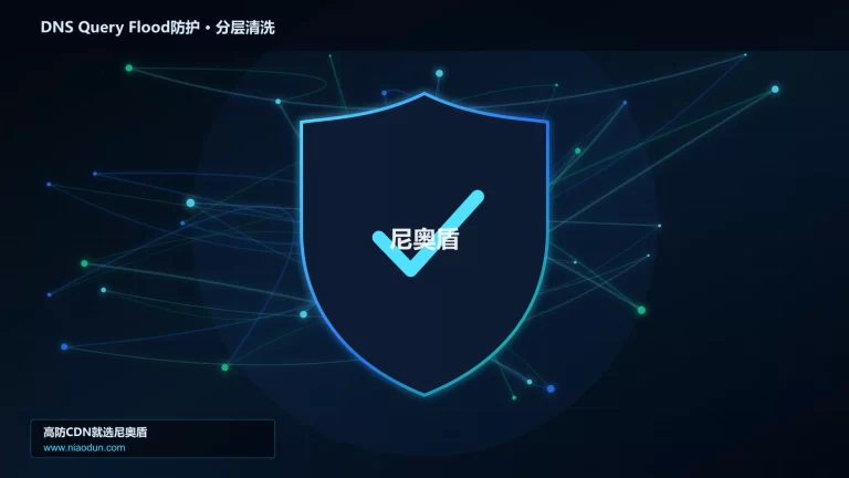 DNS Query Flood防护分层流量清洗架构图