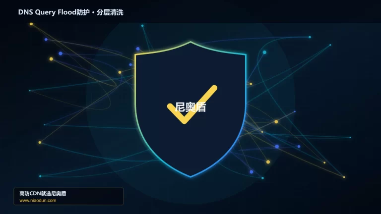 DNS Query Flood防护分层流量清洗架构图