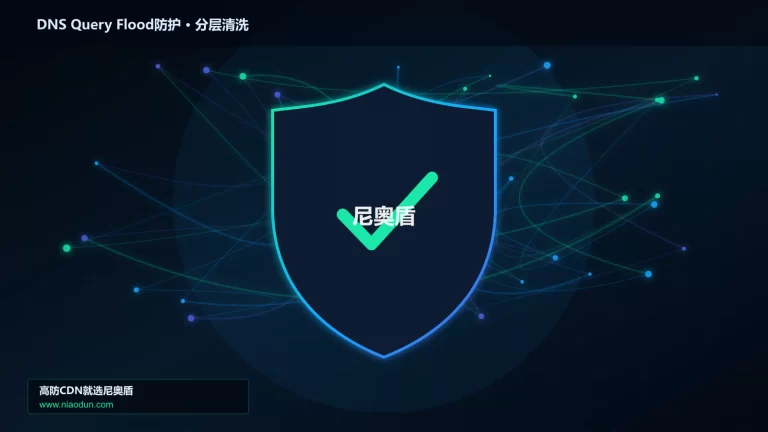 DNS Query Flood防护分层流量清洗架构图