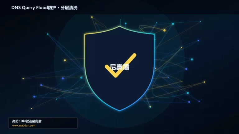 DNS Query Flood防护分层流量清洗架构图