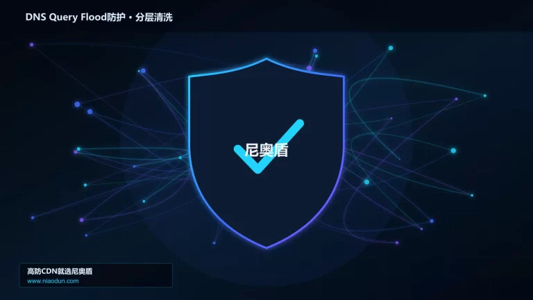 DNS Query Flood防护分层流量清洗架构图
