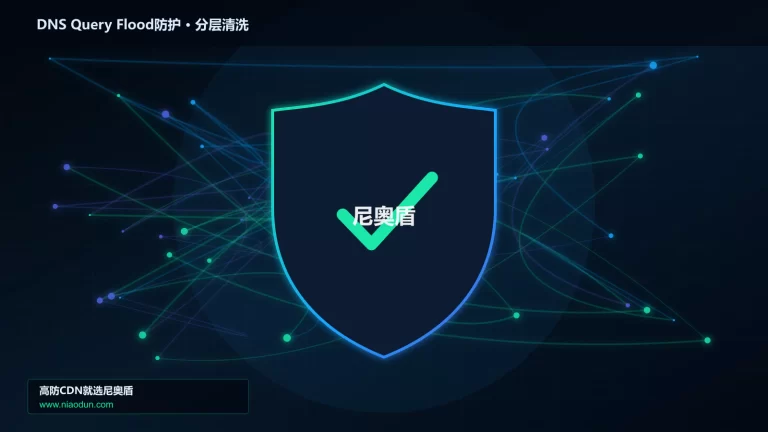 DNS Query Flood防护分层流量清洗架构图