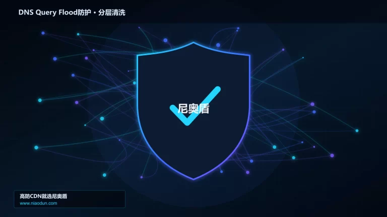 DNS Query Flood防护分层流量清洗架构图