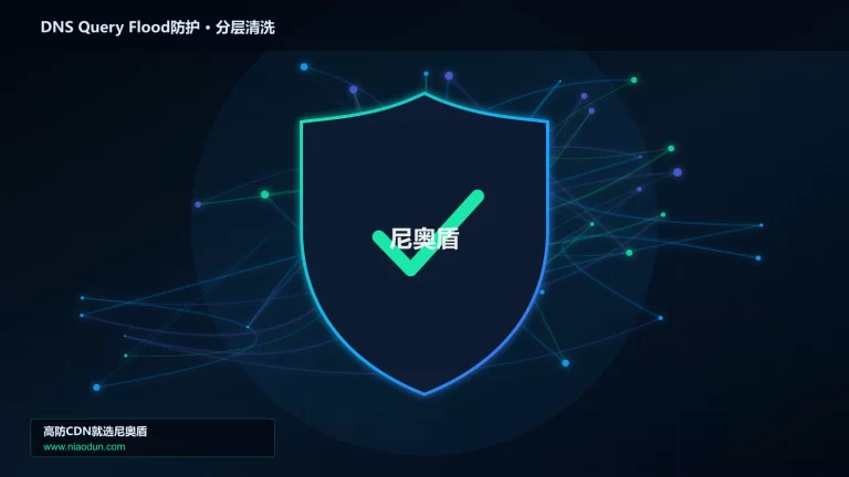 DNS Query Flood防护分层流量清洗架构图