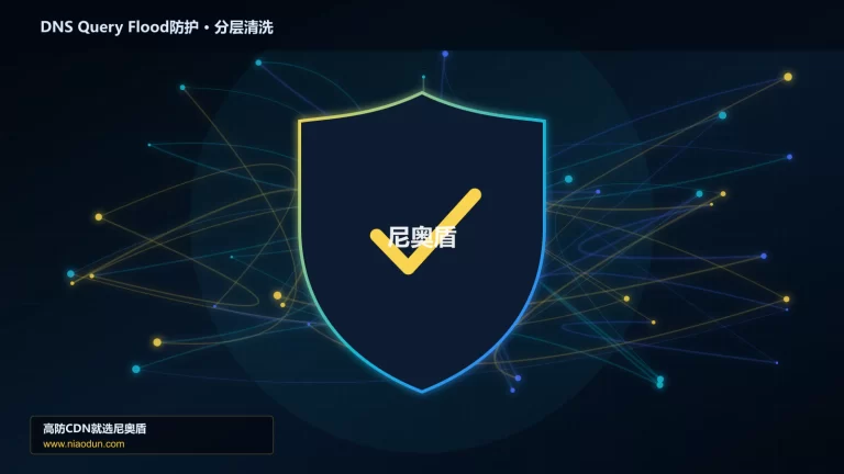 DNS Query Flood防护分层流量清洗架构图