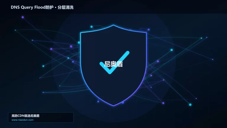 DNS Query Flood防护分层流量清洗架构图