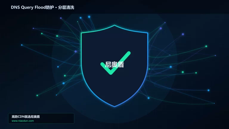 DNS Query Flood防护分层流量清洗架构图