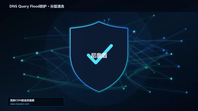 DNS Query Flood防护分层流量清洗架构图