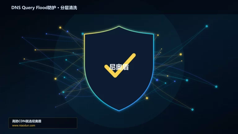 DNS Query Flood防护分层流量清洗架构图