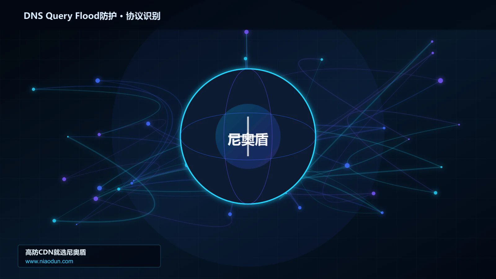 DNS Query Flood防护协议识别与节点防护图