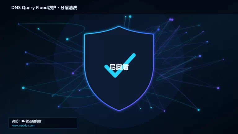 DNS Query Flood防护分层流量清洗架构图