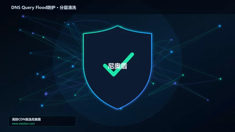 DNS Query Flood防护分层流量清洗架构图