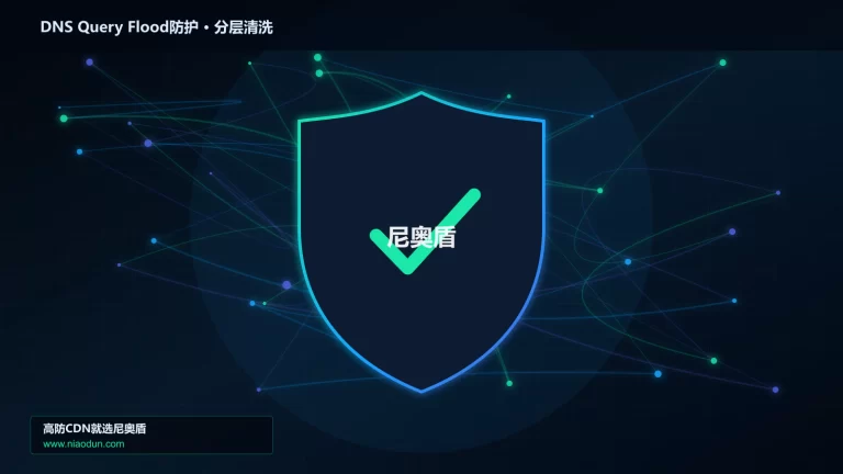 DNS Query Flood防护分层流量清洗架构图