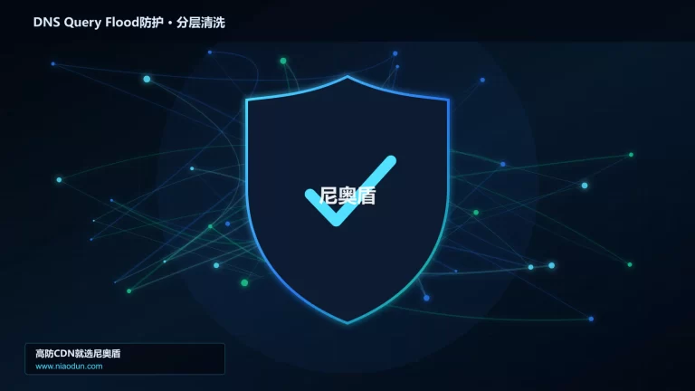 DNS Query Flood防护分层流量清洗架构图