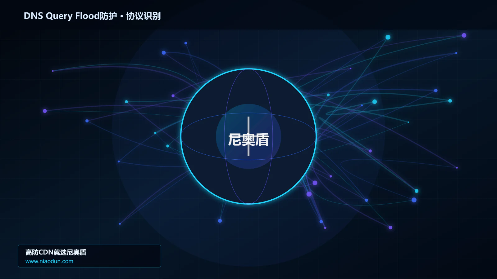 DNS Query Flood防护协议识别与节点防护图