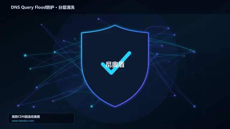 DNS Query Flood防护分层流量清洗架构图