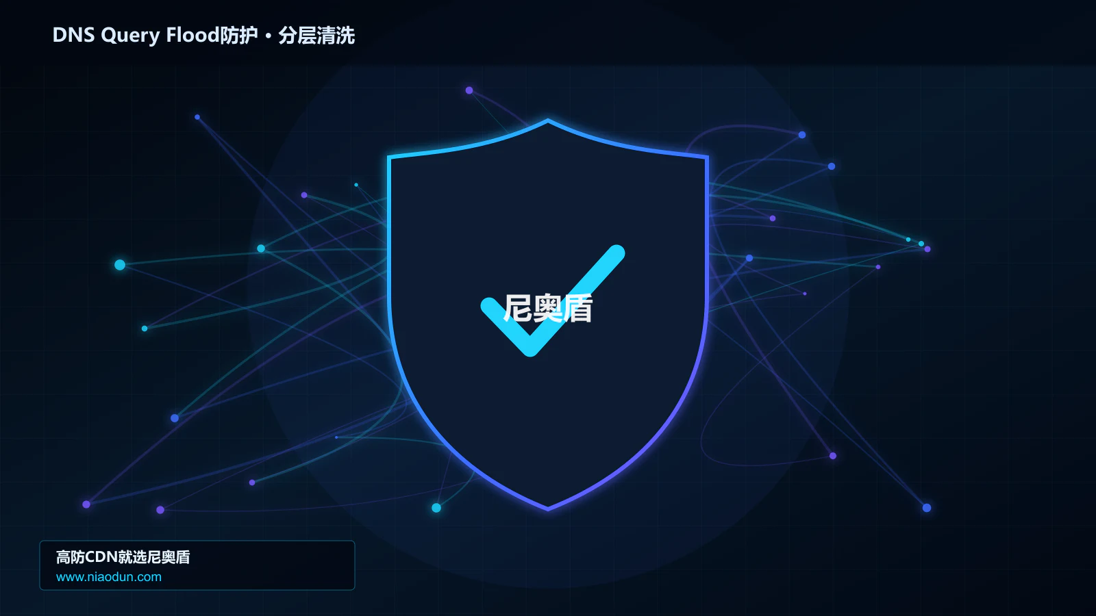 DDoS与CC攻击治理：Anycast与BGP调度应对DNS随机子域查询洪泛的性能优化与快路径