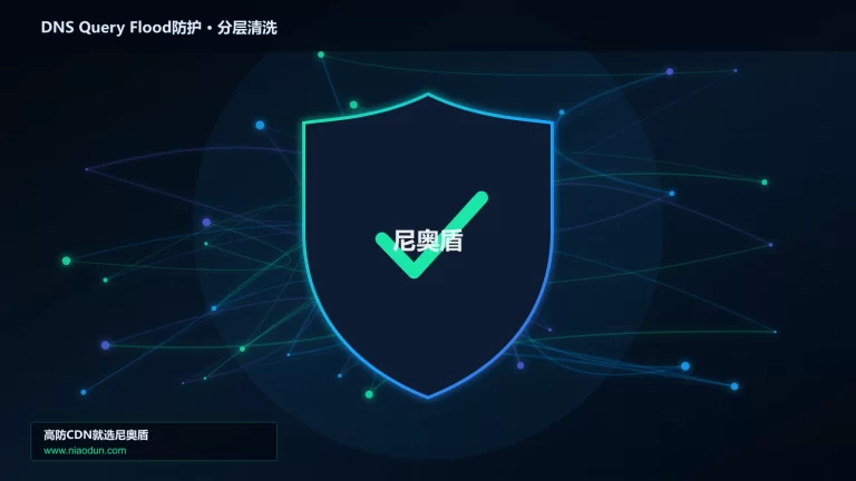 DNS Query Flood防护分层流量清洗架构图