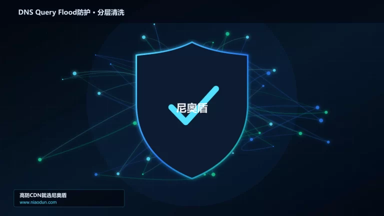 DNS Query Flood防护分层流量清洗架构图