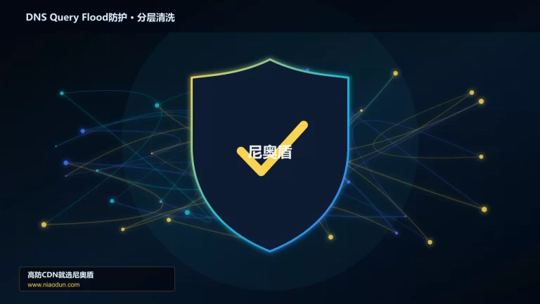 DNS Query Flood防护分层流量清洗架构图