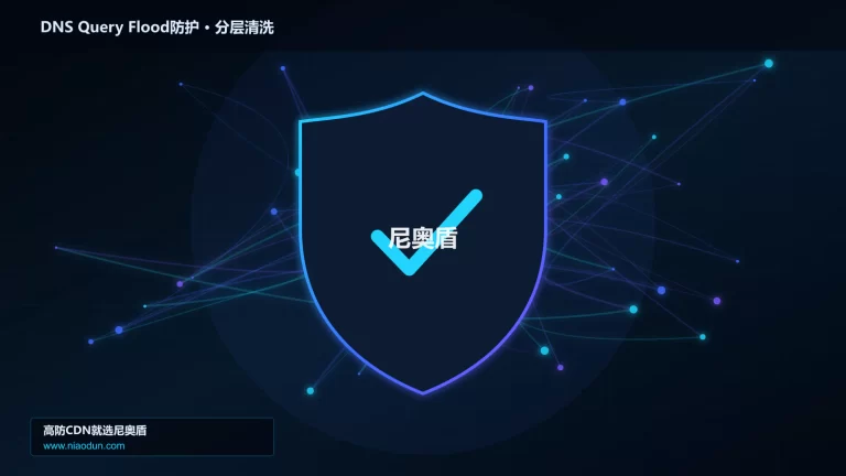 DNS Query Flood防护分层流量清洗架构图