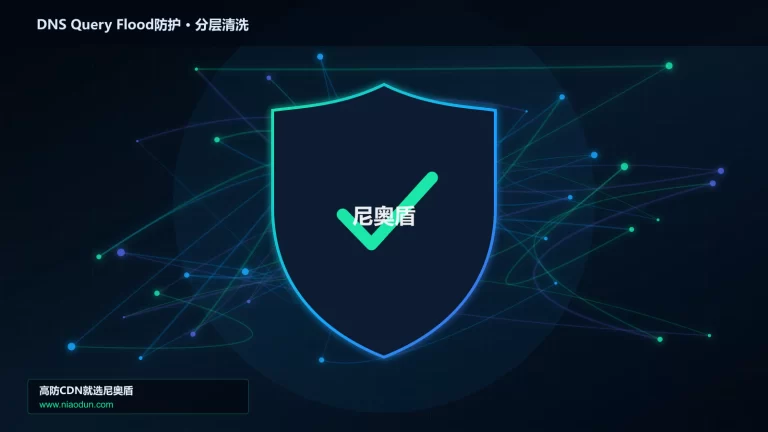 DNS Query Flood防护分层流量清洗架构图