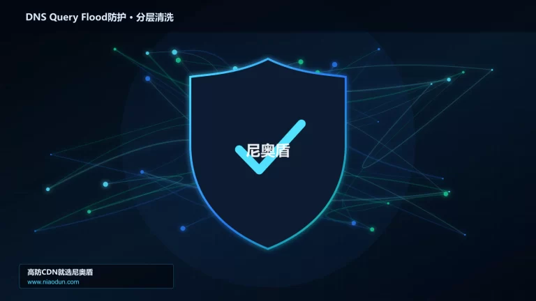 DNS Query Flood防护分层流量清洗架构图