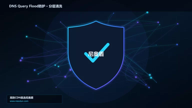 DNS Query Flood防护分层流量清洗架构图