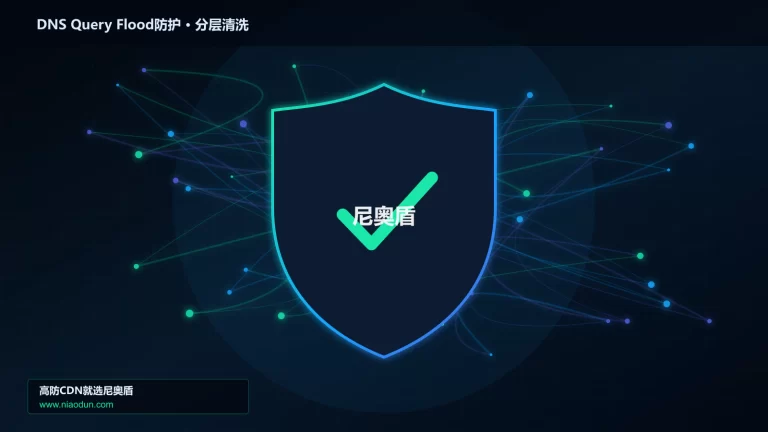 DNS Query Flood防护分层流量清洗架构图
