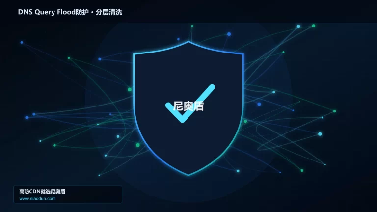 DNS Query Flood防护分层流量清洗架构图