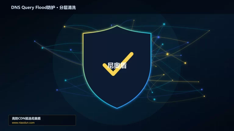 DNS Query Flood防护分层流量清洗架构图