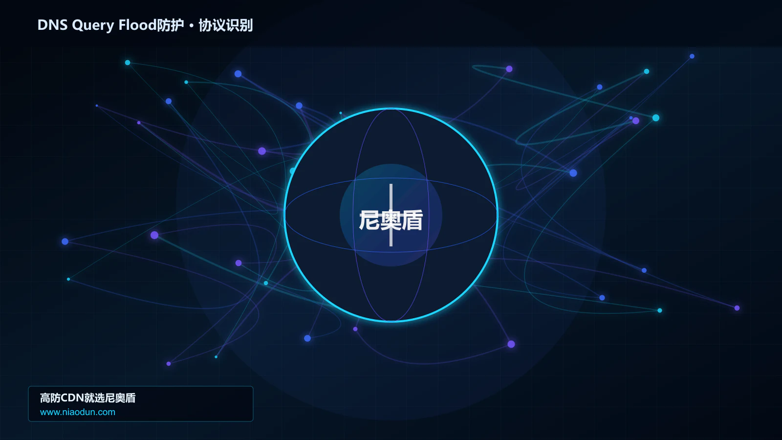 DNS Query Flood防护协议识别与节点防护图