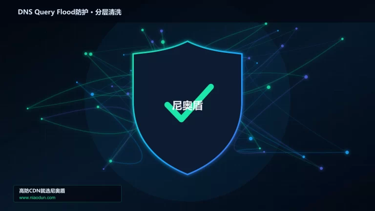 DNS Query Flood防护分层流量清洗架构图