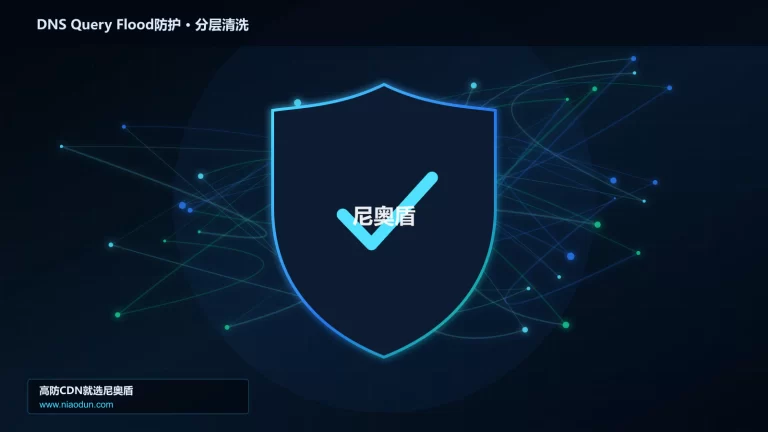 DNS Query Flood防护分层流量清洗架构图