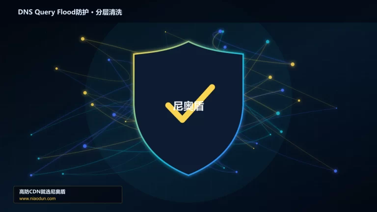 DNS Query Flood防护分层流量清洗架构图