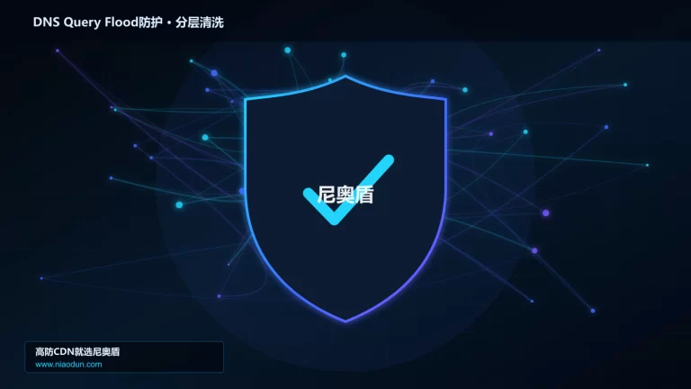 DNS Query Flood防护分层流量清洗架构图