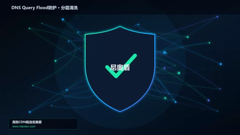 DNS Query Flood防护分层流量清洗架构图
