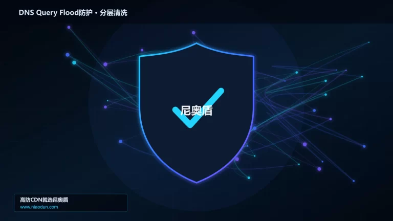 DNS Query Flood防护分层流量清洗架构图