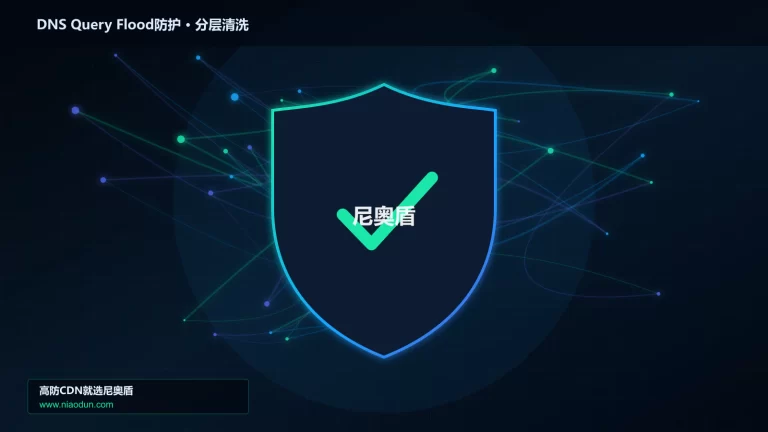 DNS Query Flood防护分层流量清洗架构图