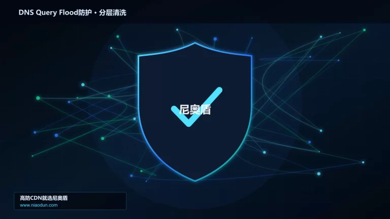 DNS Query Flood防护分层流量清洗架构图