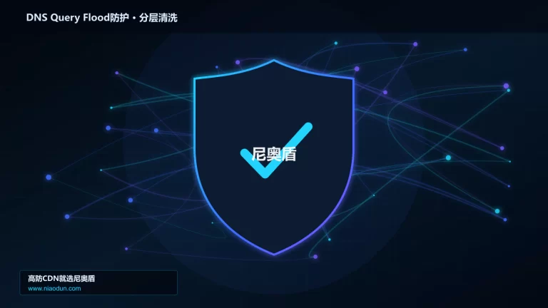 DNS Query Flood防护分层流量清洗架构图