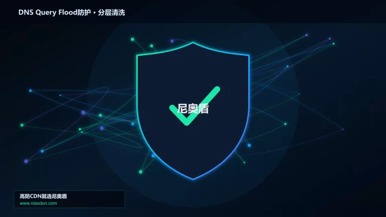 DNS Query Flood防护分层流量清洗架构图