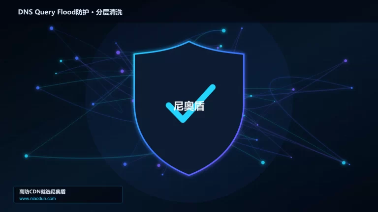 DNS Query Flood防护分层流量清洗架构图
